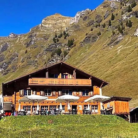 Sonnenberg And *