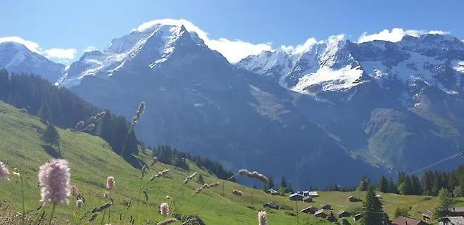 Auberge de jeunesse Sonnenberg *