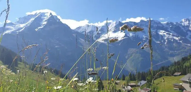 Vandrerhjem Sonnenberg Mürren